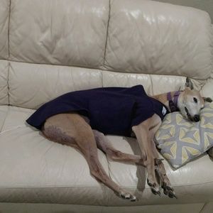 Meet your Posher, Somchith